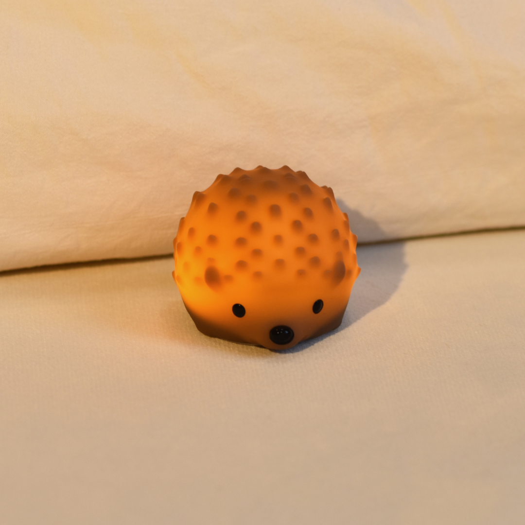 Kleins Nachtlicht Igel