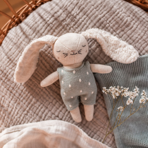 Babyrassel Hase mit Anzug