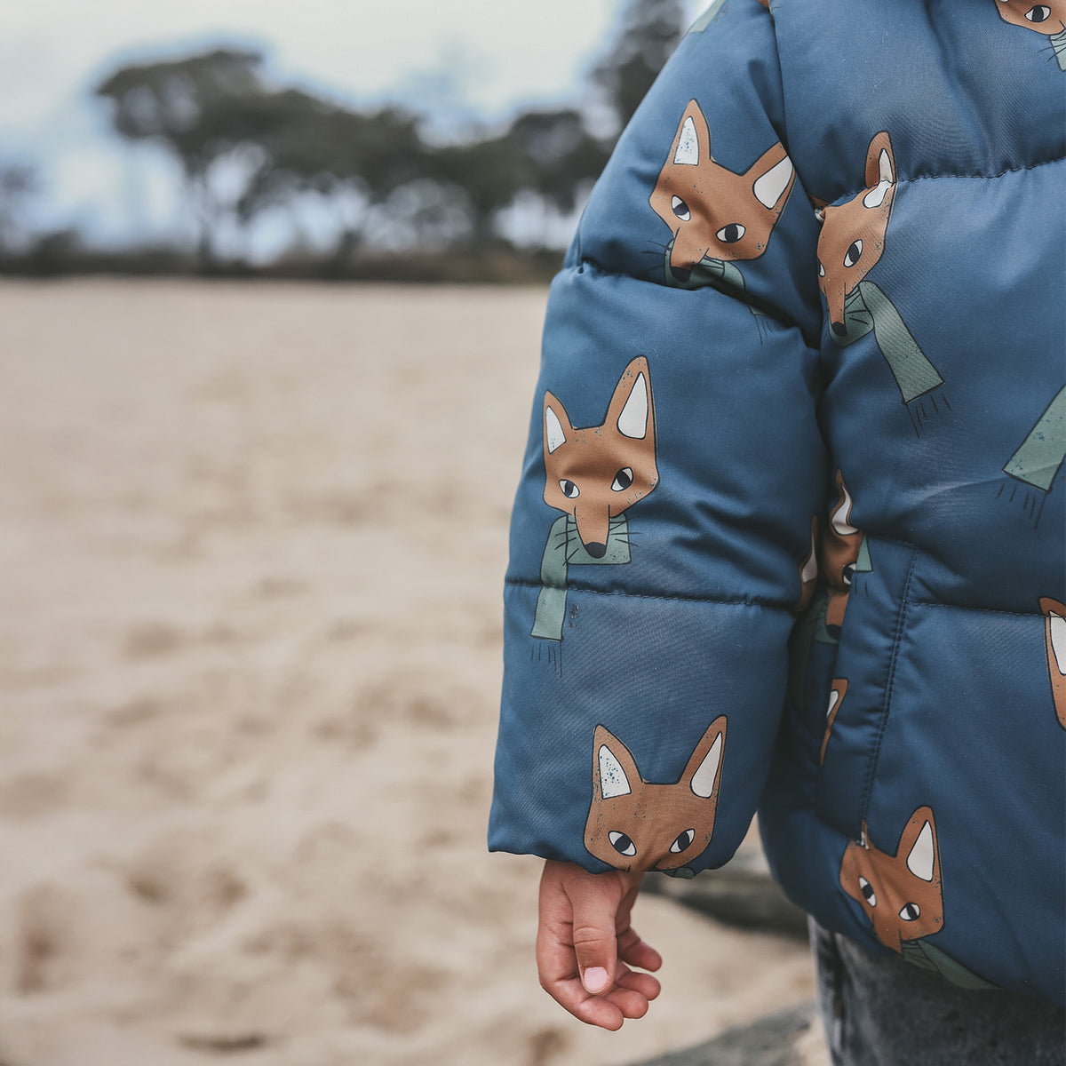 Winterjacke YW - Fox