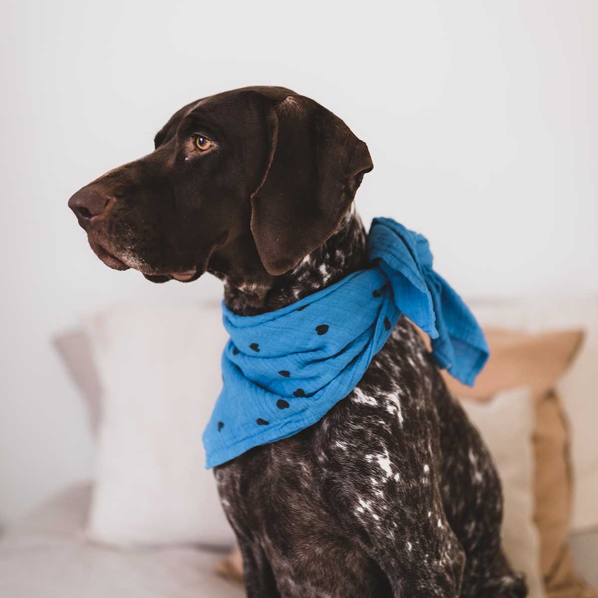 Musselin Halstuch Kinder - Blau mit Herz