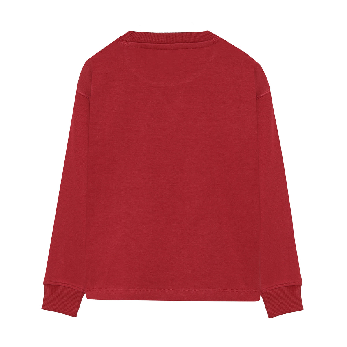 Shirt Longsleeve mit Brustprint