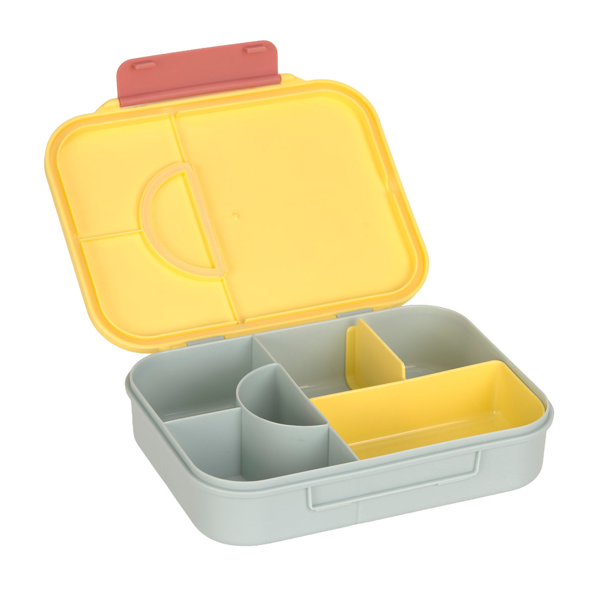 Bento Lunchbox, Happy Trails, Blume