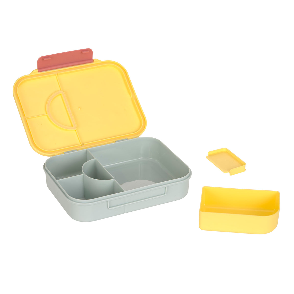 Bento Lunchbox, Happy Trails, Blume