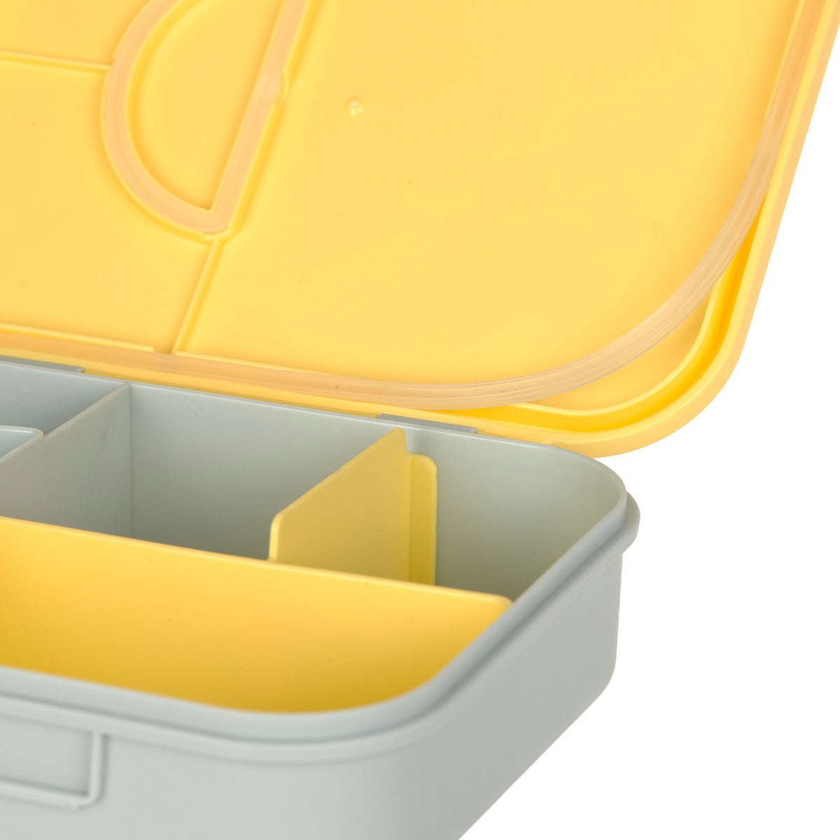 Bento Lunchbox, Happy Trails, Blume