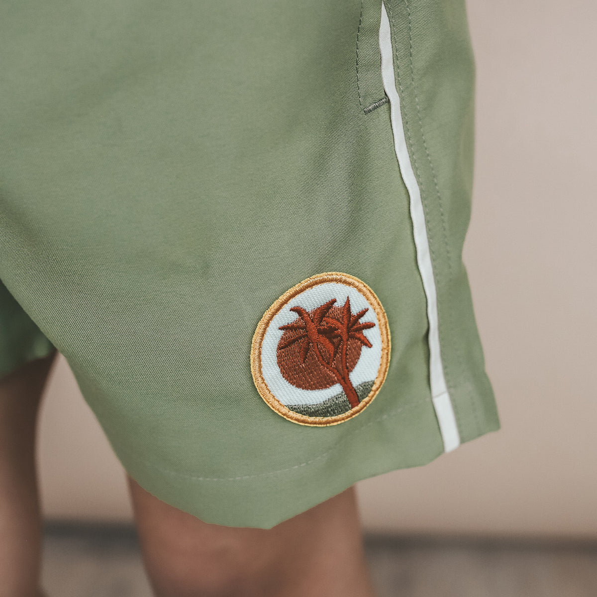 Solid Swimshorts