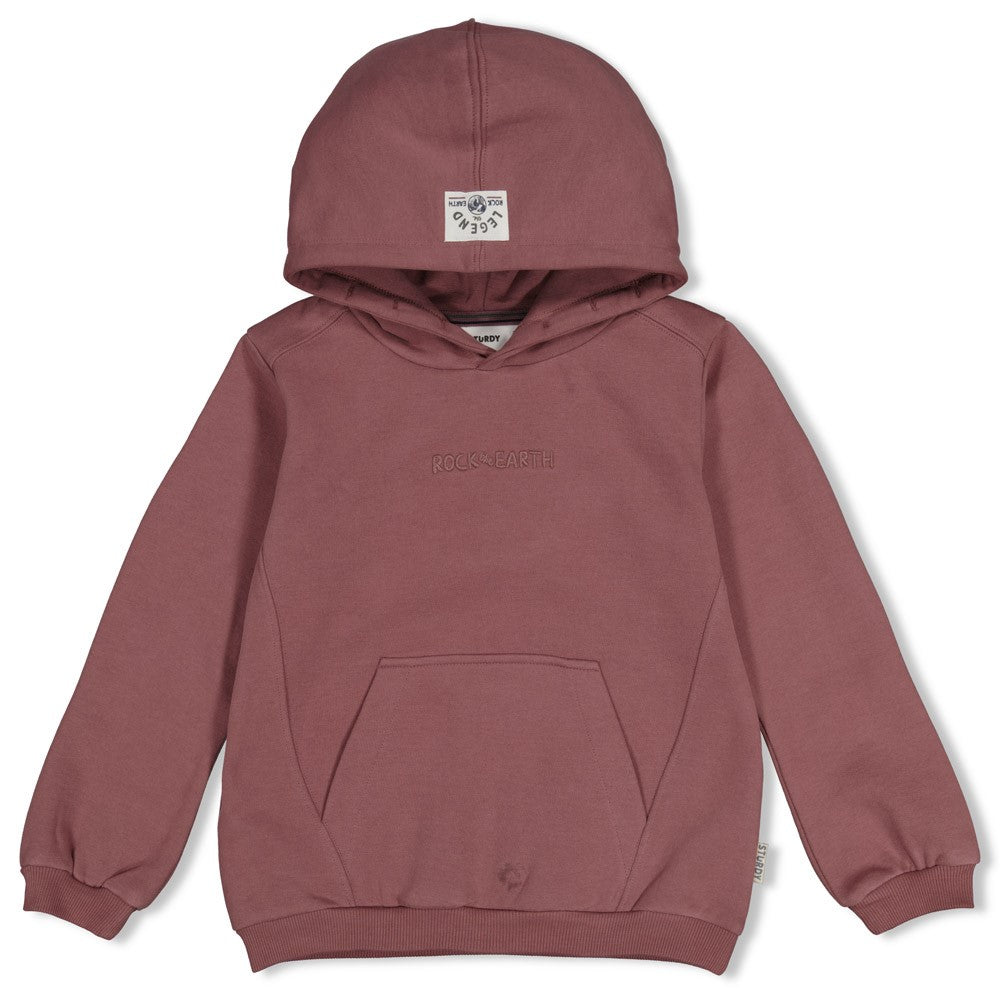 Hoody Rock the Earth