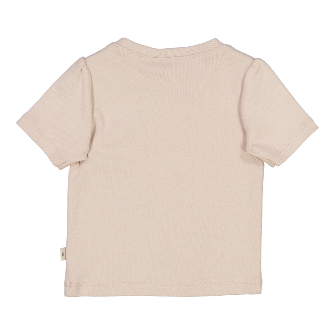 T-Shirt Schmetterlinge